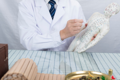 针灸师在人体模型上研究穴位