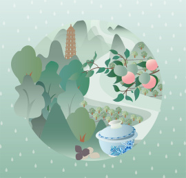 手绘新会陈皮小青柑柑普茶山水插画