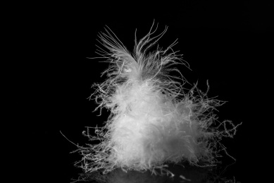 黑色背景上一团白鸭绒羽绒原料