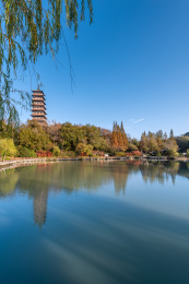 中国扬州大明寺的栖灵塔园林建筑
