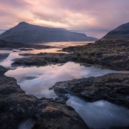 写实自然风光插画