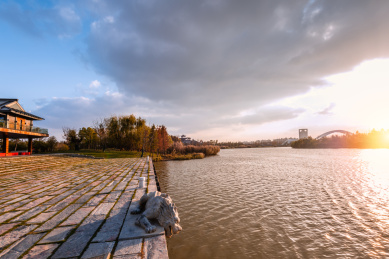 秋天夕阳下的扬州运河三湾河岸的石龙石雕趴