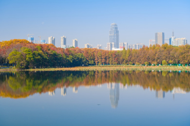 湖北武汉东湖风景区深秋初冬风光