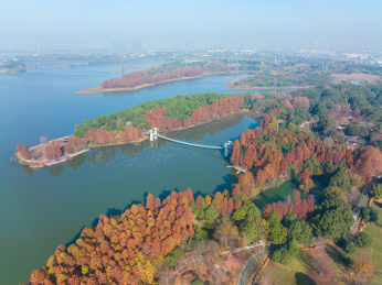 湖北武汉东湖风景区深秋初冬风光