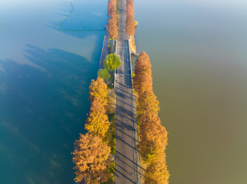湖北武汉东湖风景区深秋初冬风光