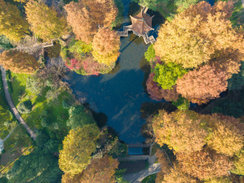湖北武汉东湖风景区深秋初冬风光
