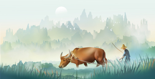 在春天的季节里山乡春农民耕牛耕地播种