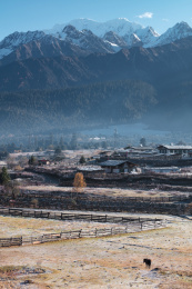 中国西藏林芝鲁朗镇扎西岗村秋天的清晨