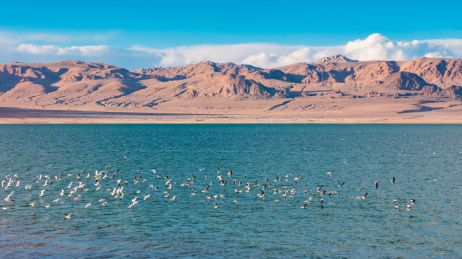 中国西藏那曲尼玛县当穹错湖