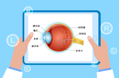 世界爱眼日眼睛视力健康矢量插画