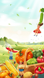 有机农场农作物向往的生活新鲜的蔬菜瓜果水