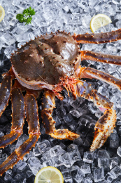 黑色背景冰块上放着帝王蟹