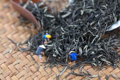 微缩场景忙碌的茶农