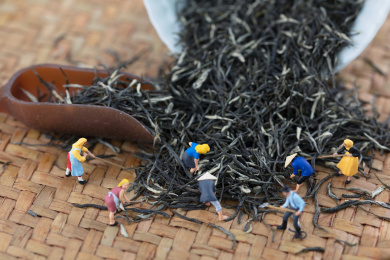 微缩场景忙碌的茶农