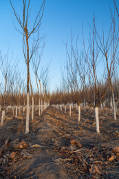 山东附近路上随拍