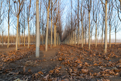 山东附近路上随拍