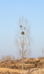 山东附近路上随拍