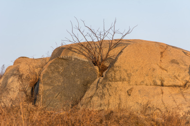 山东附近路上随拍