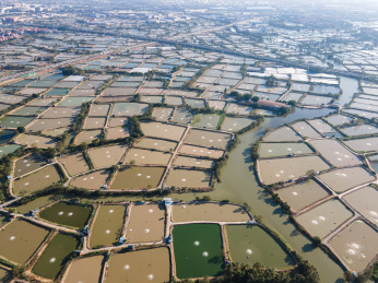 航拍佛山顺德桑基鱼塘