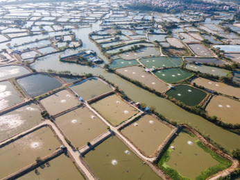 航拍佛山顺德桑基鱼塘