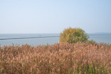 安徽合肥滨湖新区临巢湖景观风光