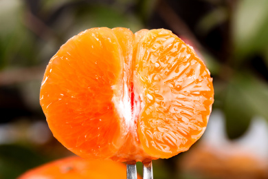 叉子叉着沃柑果肉