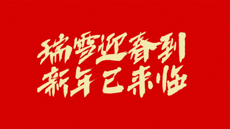 中国书法汉字字体设计瑞雪迎春到新年已来临