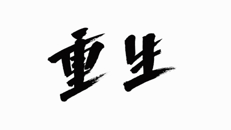 中国风书法汉字字体设计重生