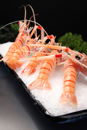 新西兰深海鳌虾