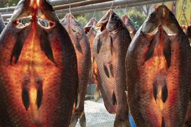 江南传统晒鱼干