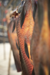 江南传统晒鱼干