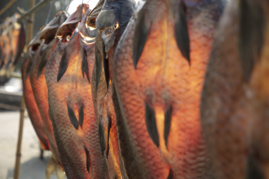 江南传统晒鱼干