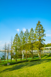 中国浙江杭州临安区青山湖国家森林公园