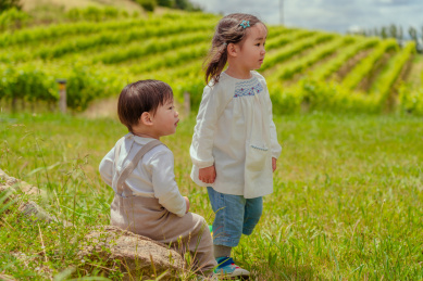 山顶葡萄园草坪岩石处的两个小孩