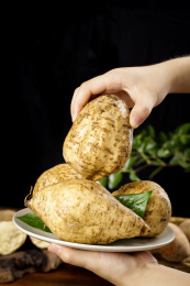 手里端着一盘白薯