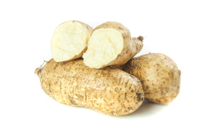 白底上放着白薯