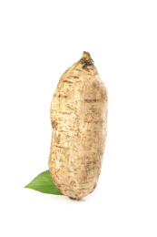 白底上放着白薯