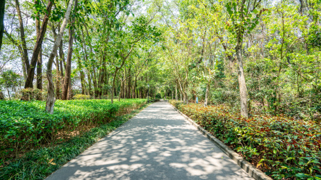 中国广东深圳笔架山公园城市景观