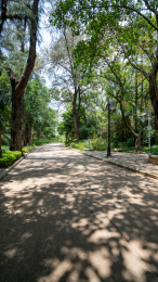 中国广东深圳笔架山公园城市景观