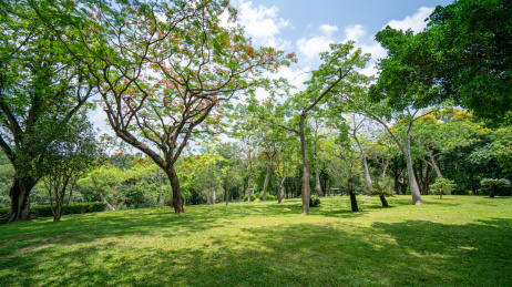 中国广东深圳笔架山公园城市景观