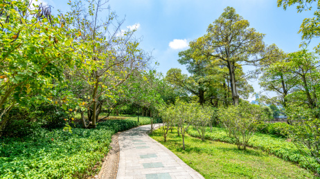 中国广东深圳笔架山公园城市景观