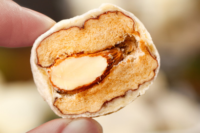 手拿切开的奶枣