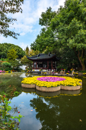 上海嘉定汇龙潭公园自然景观菊花展