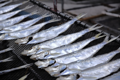 晾晒鱼干