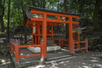 日本奈良鸟居与石灯特写
