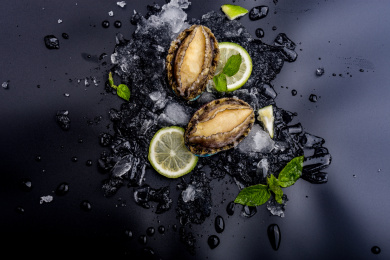 黑色背景中的新鲜生鲍鱼摆拍素材