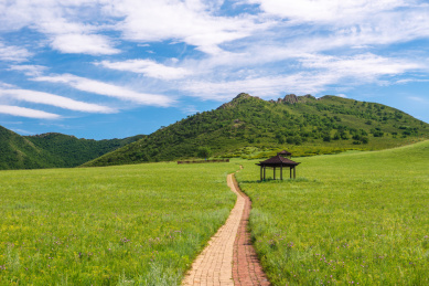 中国内蒙古扎鲁特旗山地草原风景