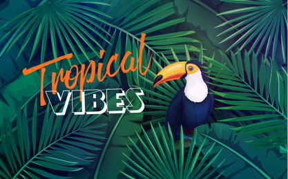 热带阔叶林大嘴鸟海报