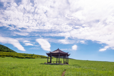 中国内蒙古扎鲁特旗山地草原风景