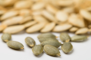 白底上的南瓜子